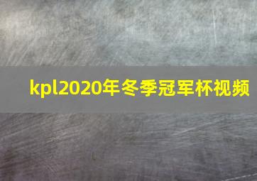 kpl2020年冬季冠军杯视频