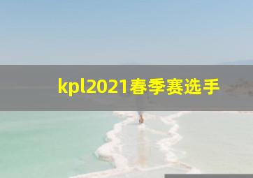 kpl2021春季赛选手