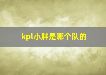 kpl小胖是哪个队的