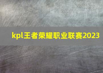 kpl王者荣耀职业联赛2023