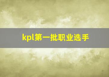 kpl第一批职业选手