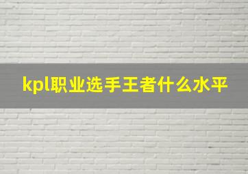 kpl职业选手王者什么水平