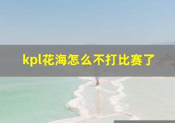 kpl花海怎么不打比赛了