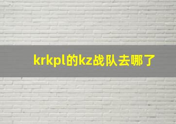 krkpl的kz战队去哪了