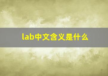 lab中文含义是什么