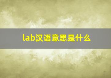 lab汉语意思是什么