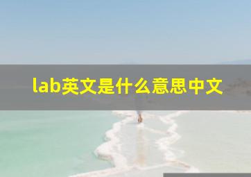 lab英文是什么意思中文