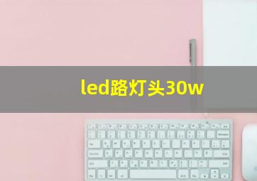 led路灯头30w