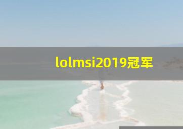 lolmsi2019冠军