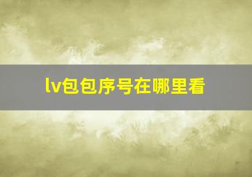 lv包包序号在哪里看