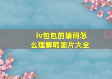 lv包包的编码怎么理解呢图片大全