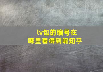 lv包的编号在哪里看得到呢知乎