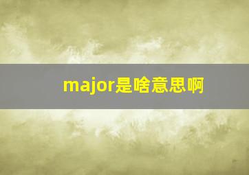 major是啥意思啊