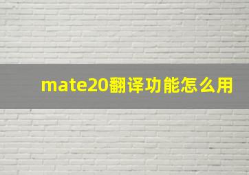 mate20翻译功能怎么用