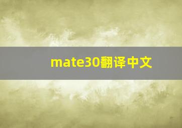 mate30翻译中文