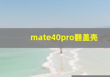 mate40pro翻盖壳