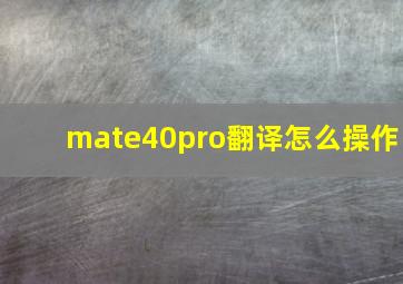 mate40pro翻译怎么操作