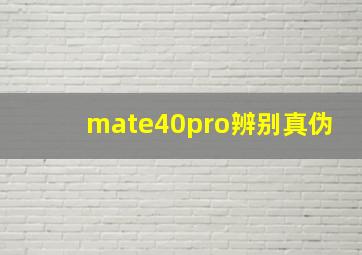 mate40pro辨别真伪