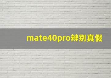 mate40pro辨别真假