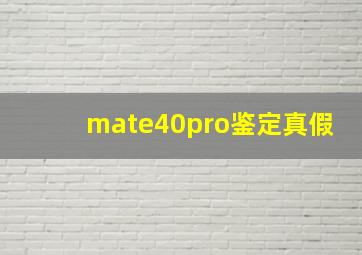 mate40pro鉴定真假