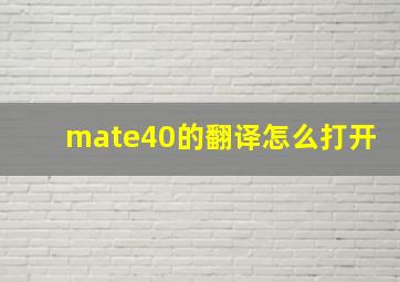 mate40的翻译怎么打开