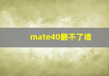 mate40翻不了墙