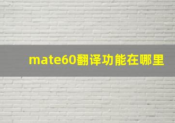 mate60翻译功能在哪里