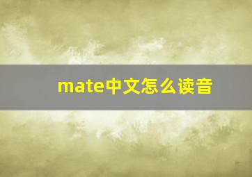 mate中文怎么读音