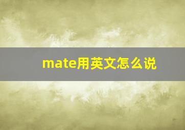 mate用英文怎么说