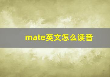 mate英文怎么读音