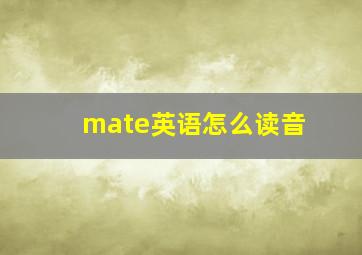 mate英语怎么读音