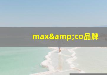 max&co品牌