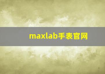 maxlab手表官网