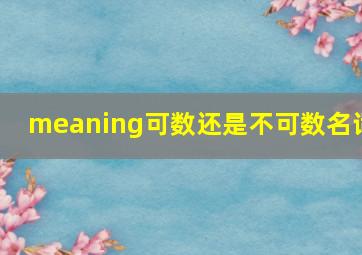 meaning可数还是不可数名词