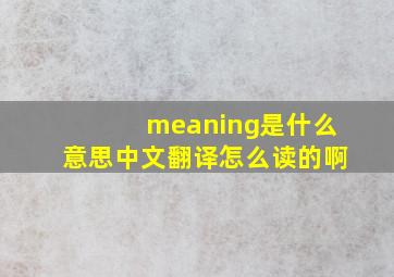 meaning是什么意思中文翻译怎么读的啊