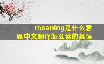 meaning是什么意思中文翻译怎么读的英语