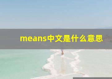 means中文是什么意思