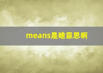 means是啥意思啊