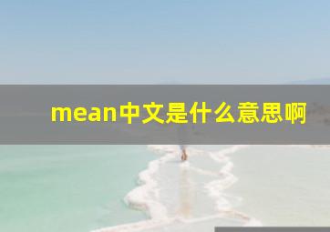 mean中文是什么意思啊