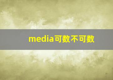 media可数不可数