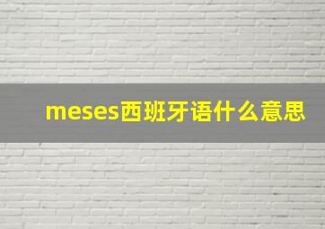 meses西班牙语什么意思