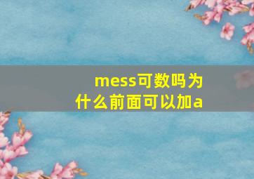 mess可数吗为什么前面可以加a