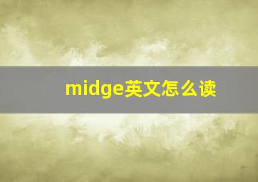 midge英文怎么读