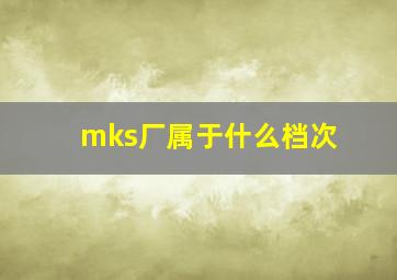 mks厂属于什么档次