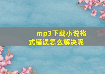 mp3下载小说格式错误怎么解决呢