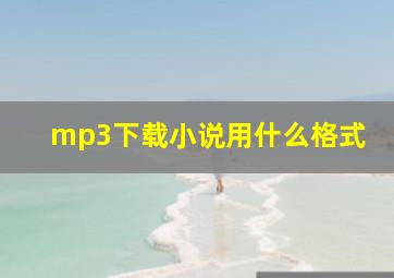 mp3下载小说用什么格式