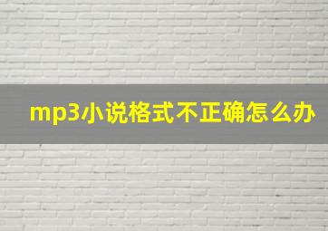 mp3小说格式不正确怎么办