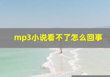 mp3小说看不了怎么回事