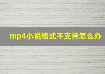 mp4小说格式不支持怎么办