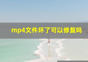 mp4文件坏了可以修复吗